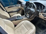 Mercedes Benz GLS 350 d